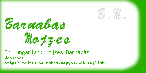 barnabas mojzes business card