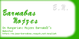 barnabas mojzes business card